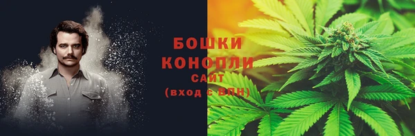 ПСИЛОЦИБИНОВЫЕ ГРИБЫ Аркадак