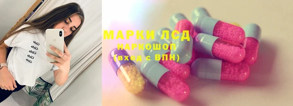 эйфоретик Баксан
