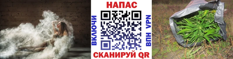 Конопля OG Kush  Сосенский 